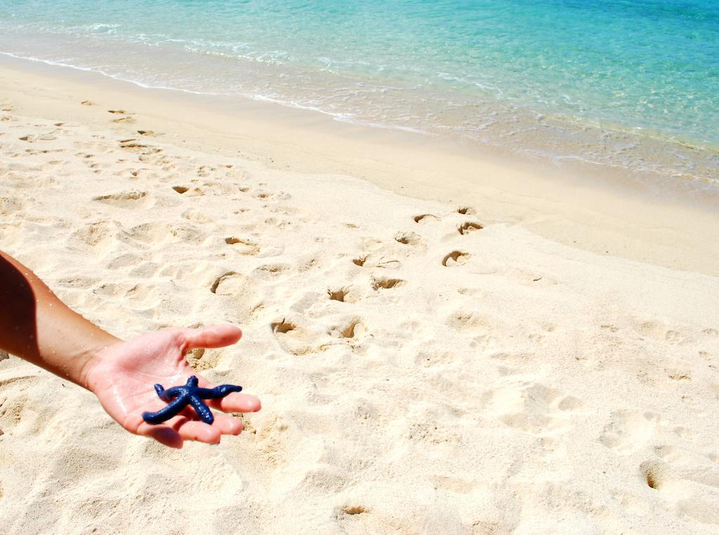 Taufua Beach Fales Lalomanu Luaran gambar